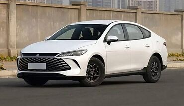 BYD Destroyer 05: 1.5 л | 2024 г. Седан