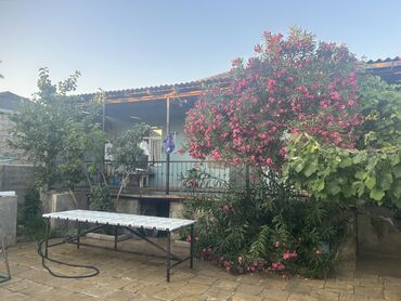 Beton panel divarlar: SATILIR: Xəzər rayonu, Binə qəsəbəsində tam təmirli 4 otaqlı həyət evi — 10