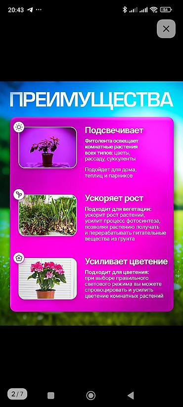 Жарык кылуу: На заказ фитолампа для ваших дач, подходит для цветов, зелени, овощей — 2