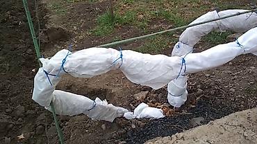 одежды для новорожденных: Другие удобства для дома и сада, Платная доставка — 3