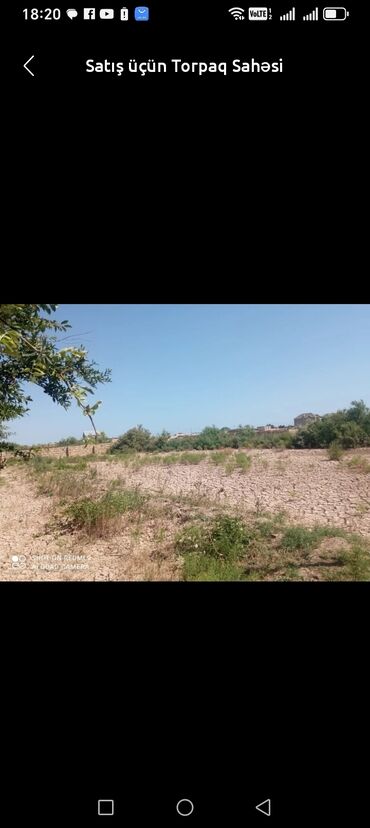 Torpaq sahələrinin satışı: Tikinti