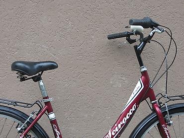 Bicikli za odrasle: Bicikli za odrasle — 14