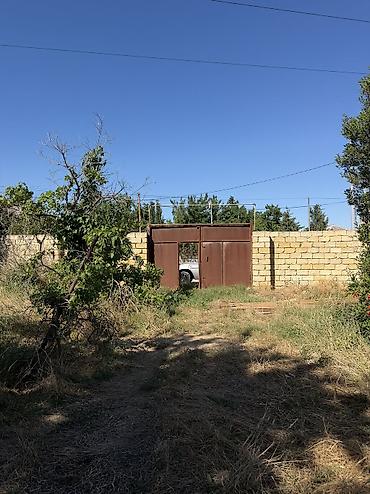 ceyranbatanda: Ceyranbatanda xüsusi təklif: 8 sot torpaq sahəsi və yarımçıq tikili — 3