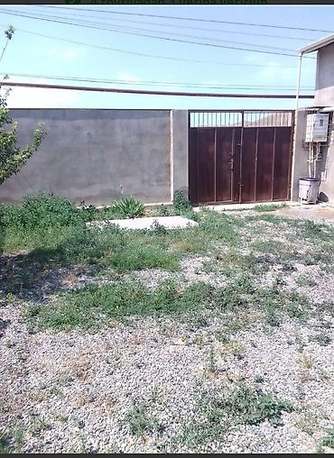 berdə: 3 otaqlı, 60 kv. m, Kredit yoxdur, Yeni təmirli — 3