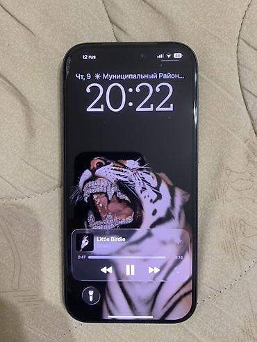 apple studio: IPhone 17 Pro, Новый, 256 ГБ, Синий, Кабель, Коробка, 100 % — 2