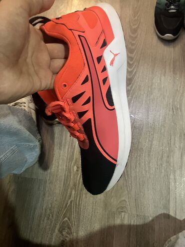 Botinkalar: Original puma sport ucun catdirilma pulsuz yanliz baki ehatesinde 42