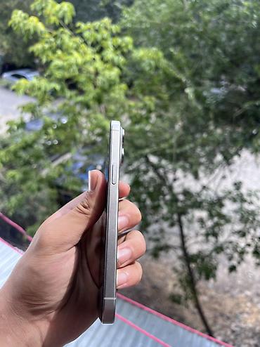iphone 17e: IPhone 15 Pro Max, Б/у, 256 ГБ, Серебристый, Зарядное устройство, 98 % — 4