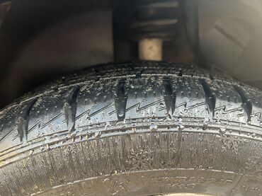 BMW: BMW 5 series: 2006 г., 2.5 л, Автомат, Бензин, Седан — 10