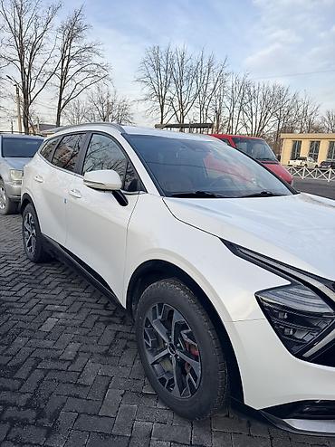 Kia: Kia Sportage: 2021 г., 1.6 л, Робот, Гибрид — 3