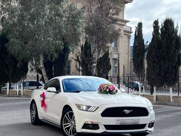 Digər avto xidmətlər: Ford mustang 2018 toy nişan və digər tədbirlər üçün sifariş edə — 5