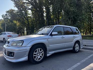 форестер 2006: Subaru Forester: 2004 г., 2 л, Автомат, Бензин, Универсал — 1