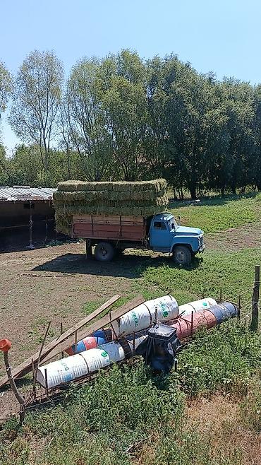 Унаа: Жүк ташуучу унаа, GAZ, Стандарт, Колдонулган — 2