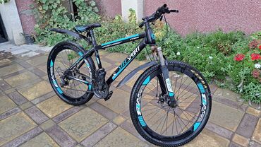 Dağ velosipedi 29"