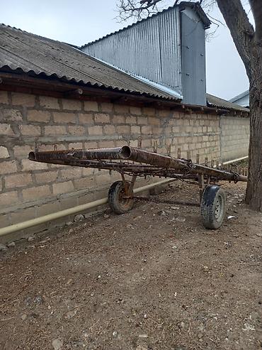 tur maşınları: Traktor Belarus (MTZ) 89, 2013 il, 80 at gücü, motor 1 l, İşlənmiş — 4