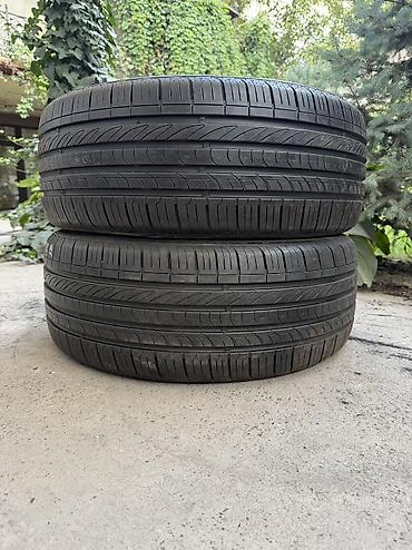 245: Шины 245 / 45 / R 19, Лето, Б/у, Пара, Легковые, Корея, Nexen — 1