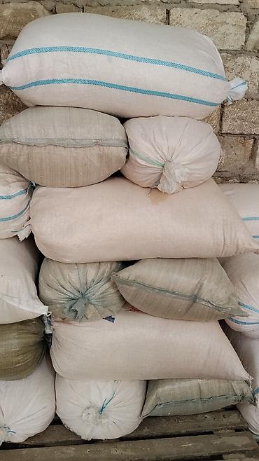 britanskiy kot: Məhsul: Quşçuluq üçün təbii ağac yonqarı (altlıq materialı) Təsvir: - — 9