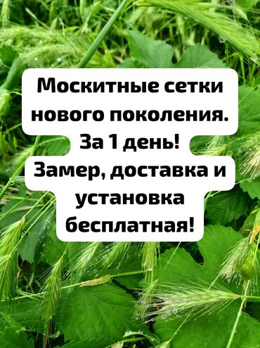 ремонт и реставрация входных дверей: Фурнитура: Оңдоо, Реставрация, Алмаштыруу, Баруу акылуу