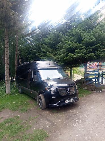w210 3 2: Пункт назначения: Все направления, Количество мест: 20, Лицензия №: 45239528 — 1