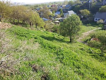 паливной земля: 5 соток, Для строительства, Красная книга — 3