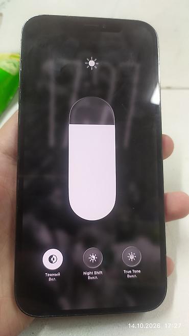 iphone tel: IPhone 12 Pro, Б/у, 256 ГБ, Pacific Blue, Коробка, 100 % — 9