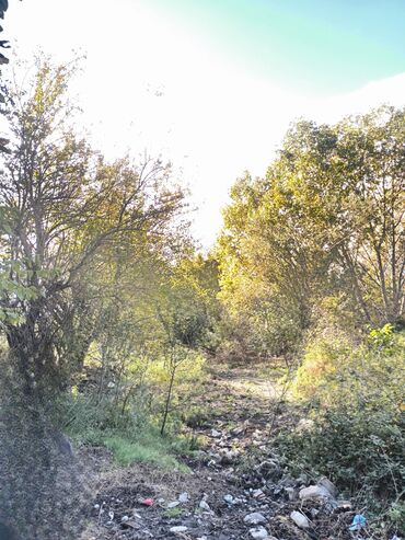 Həyət evləri və villaların satışı: Torpaq bağ sahəsi 42 sot meyvə baği satıram -da lalafo.az — 15 Həyət evləri və villaların satışı: Torpaq bağ sahəsi 42 sot meyvə baği satıram — 15