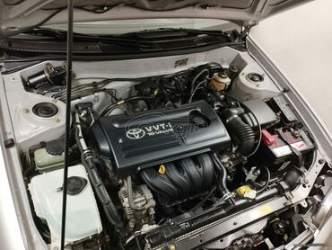 Toyota: Toyota Corolla: 1.4 l. | 2000 έ. Κουπέ — 10