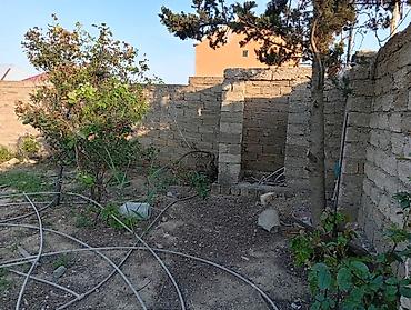 savalan torpag: Tikinti, Kupça (Çıxarış) — 5