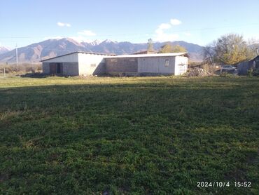 Сельхоз предприятия: Продаю Кошара, 50 соток, Действующий, Частично с оборудованием — 2