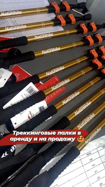 Плащи: Треккинговые палочки в аренду и на продажу Палки для похода Для гор