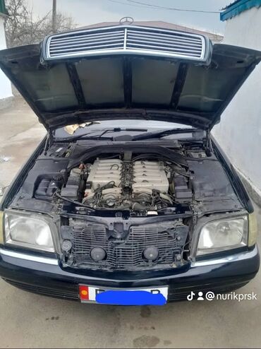 Mercedes-Benz S600: 1995 г., 6 л, Автомат, Бензин, Седан