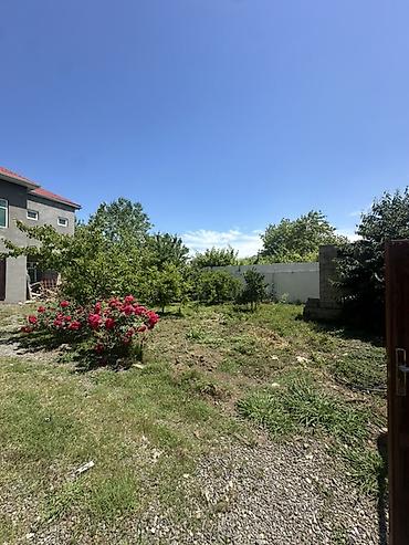 salyanda ev alqi satqisi: Satışa təqdim olunur: həyət evi və torpaq sahəsi - Tip: fərdi 2 — 4