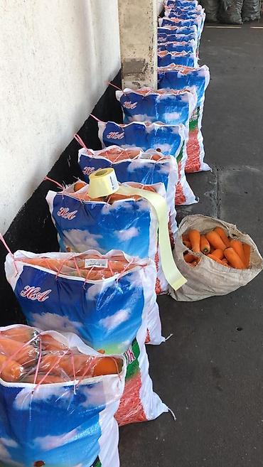 Промышленные холодильники и комплектующие: Сдаются в аренду холодильники промышленные для сельскохозяйственных — 20