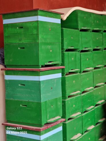 Arı yeşikləri: Arıçılıq üçün taxta pətək korpusları və qapaqları Məhsul təsviri: - — 8