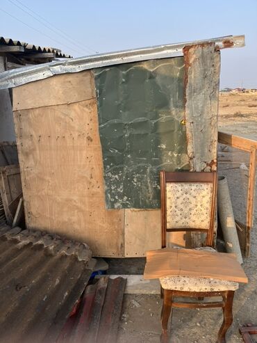 Göyərçinlər: Göyərçinlər zabratdadı hamsı uçan quşlardı isdəyən olsa gəlsin həyətdə — 8