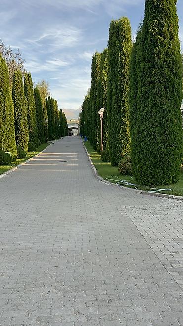 Батирлерди сатуу: Студия, 35 м², Жеке план, 4 кабат, Евро оңдоо — 10