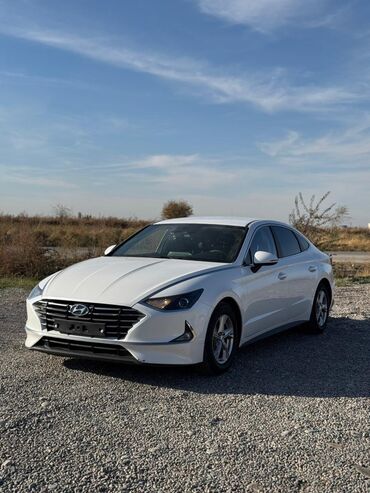 крыло на цивик: Hyundai Sonata: 2020 г., 2 л, Автомат, Газ, Седан