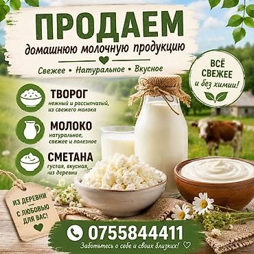 Продукты питания: Совхоз Фрунзе Домашняя молочная продукция из деревни — свежее — 1
