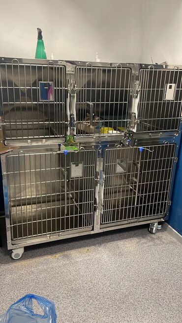 Услуги ветеринара: Ветеринарная клиника 🐱🐶🐏 Лечение домашних животных 🩹🩺 - Хирургическое — 11