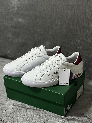 Кроссовки, 36, 36.5, 37, Lacoste, Новый, цвет - Белый at lalafo.kg Кроссовки, 36, 36.5, 37, Lacoste, Новый, цвет - Белый