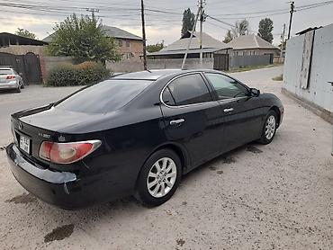 Lexus: Lexus ES: 2003 г., 3.3 л, Автомат, Газ, Седан — 6