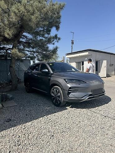 song l: BYD Song Plus: 2025 г., Автомат, Электромобиль, Кроссовер — 3