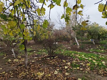 Torpaq sahələrinin satışı: 4 sot, Mülkiyyətçi — 1