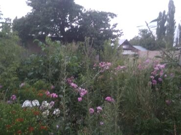 Продажа домов: Дом, 70 м², 3 комнаты, Собственник — 5