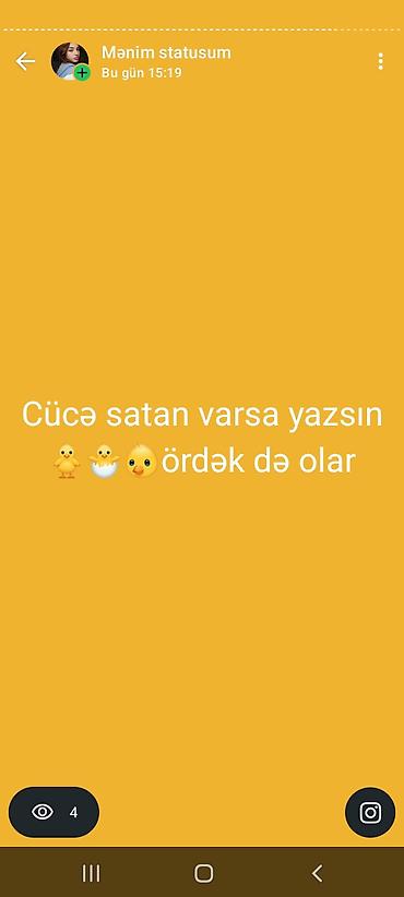 cucəsi: Toyuq cücələri, Ətlik — 1