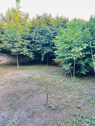 Torpaq sahələrinin satışı: 6 sot, Tikinti, Mülkiyyətçi, Kupça (Çıxarış) — 8