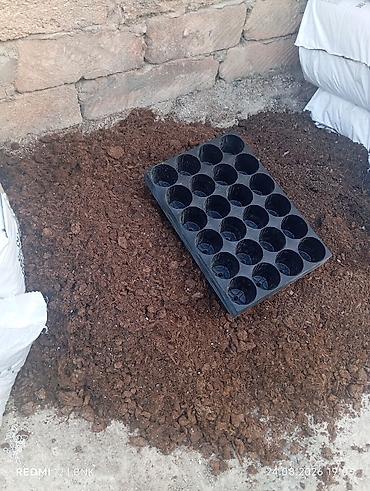 yaponka cucəsi: Fidan yetişdirmə üçün çoxgözlü plastik kaset - Material: möhkəm — 1