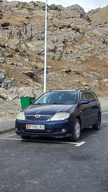 Toyota: Toyota Corolla: 2005 г., 1.6 л, Механика, Бензин, Универсал — 2