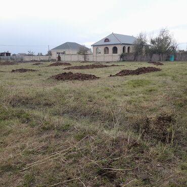 Torpaq sahələrinin satışı: 30 sot, Kənd təsərrüfatı, Kupça (Çıxarış), Bələdiyyə