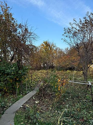 Продажа дачи: Продается Дача р-н Колос Ул. Мечта 2 Цена 95 000 $ - Дом кирпичный — 2