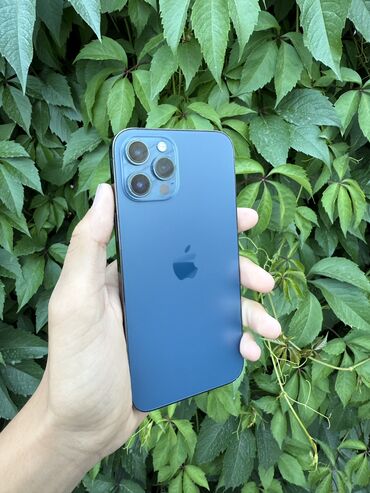 Apple iPhone: IPhone 12 Pro Max, Б/у, 256 ГБ, Pacific Blue, Защитное стекло, Кабель, 80 %